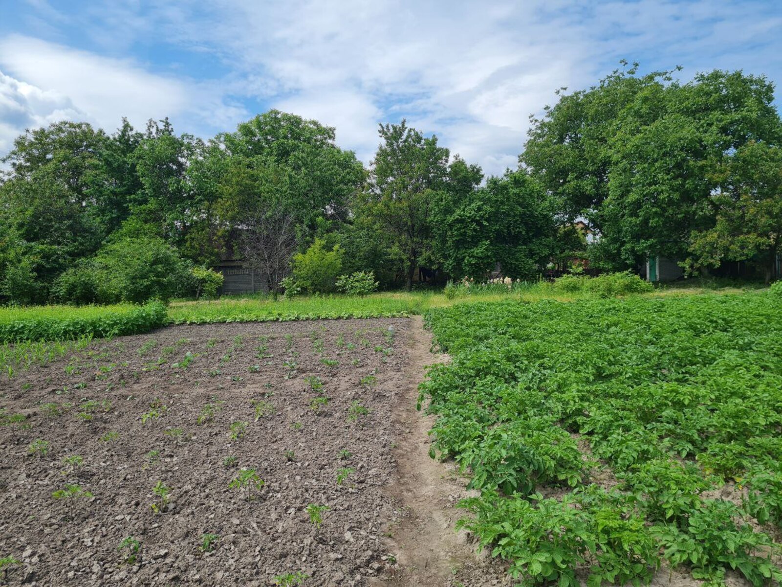 Продажа, Земельные участки